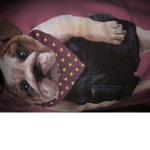 Team members squad