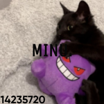 minuW