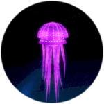 Unused Badge