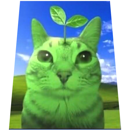 Fruitgero Aero Cat Meme Cape Roblox item