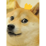 THE DOGE AND AXOLOTL EMPIRE