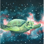 TurtleX | Turtle Space Force