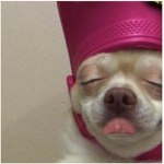 dont diss me