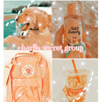 -Charlis secret group-