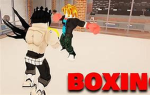 Boxin N Slicin