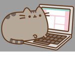 KATT SQUAD!!