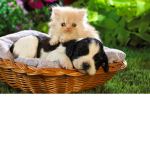 <3the cuties<3