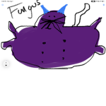 KING FUNGUS FANS