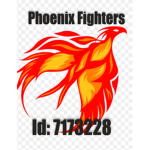 Phoenix Fighters Gang