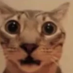 Silly's Suits Group Thumbnail