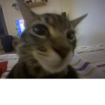 Â man