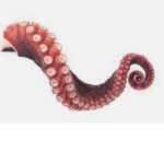 LibraryTentacles