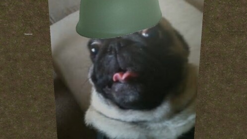 The Derp War