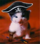 WAR OF CATS