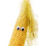 Corn and the cob