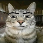 Boztifys
