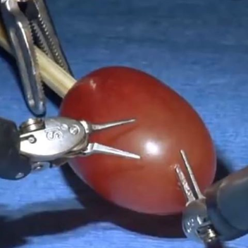 they did surgery on a grape simulator 
