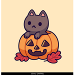 Clothing Kitten