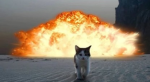 KABOOM! KITTY