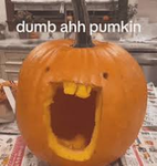 The Real Pumpkin Group