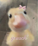 Funneh for life