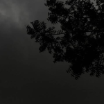 L0VELANII