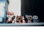 join if you have # ty beanie boos or more.........