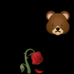Rose Teddy squad