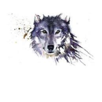 wolf's are very cool