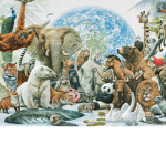 .The Animal Kingdom.