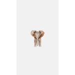 •|Elephant Squad|•