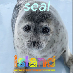 🛠️seal land🛠️[ALPHA]
