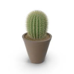 Cactus Industries