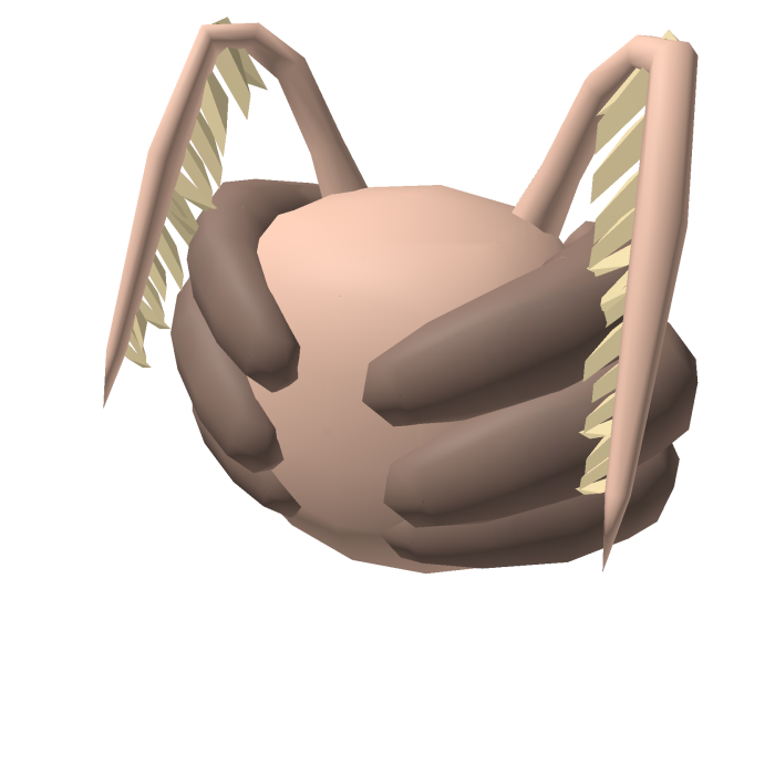 Dune Head (Casualties: Unknown)