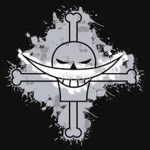 The New Whitebeard Pirates
