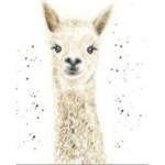 Llama Hot Spot