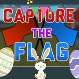 Capture The Flag: