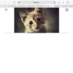 Kitty_cat2020