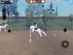Horse Shoe Academy </3