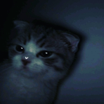 Kocham.eric