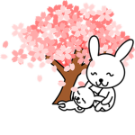 Bunny Fan Squad!