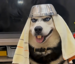 BurritoWorkZ