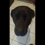 DESTROY EVERYTHING!!!