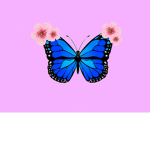 Butterflies & Blossoms