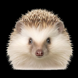 Fast hedgehogs! [NEVER!]