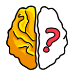 The Brain Out group