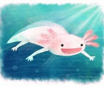 ..The Official Axolotl group..