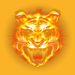 Lava tiger king