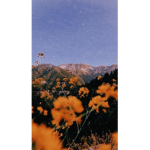 Fluffiesx