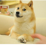멍뭉이 놀이